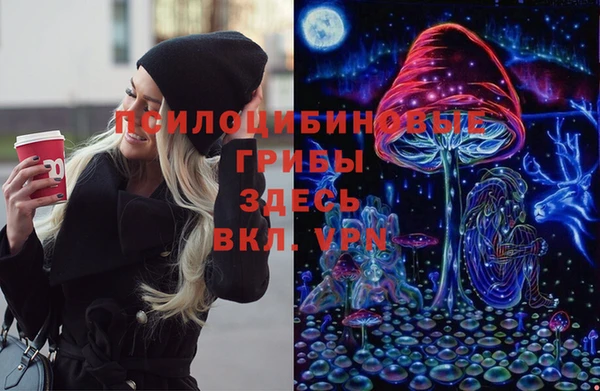 дживик Бугульма
