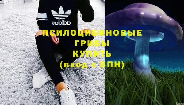 таблы Белокуриха