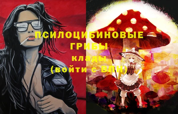 экстази Богородск